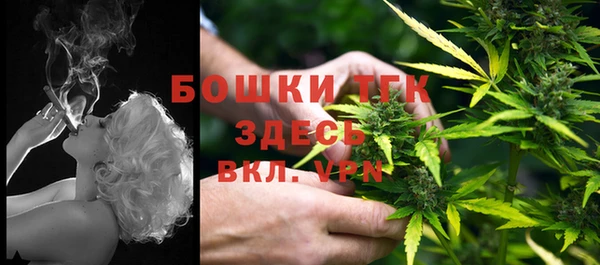 хмурый Аркадак