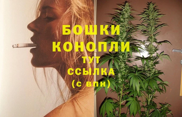 шишки Арсеньев