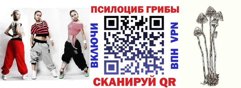 omg ССЫЛКА сайты даркнета как зайти Галлюциногенные грибы MAGIC MUSHROOMS Сураж